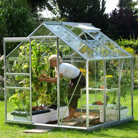 Serre de jardin en verre trempé ALLIUM  3.70 m². Aluminium naturel - 699.00€ Livraison comprise