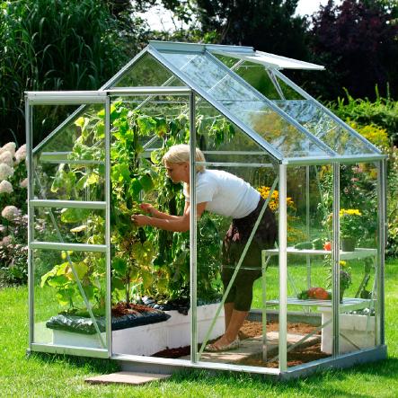 Serre de jardin en verre trempé ALLIUM  2,50 m². Aluminium naturel - 539.00€ Livraison comprise
