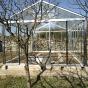 Serre de jardin en verre trempé SUPRA 31,50m² - Aluminium naturel - 9600€ Livraison comprise
